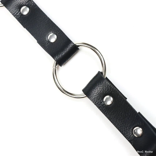 Anal Hooks Kinky EverydayUse Leash Hook Anal 5853 with and Collar 0128